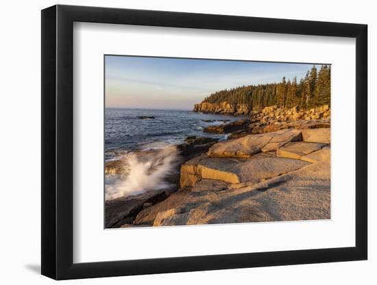 Otter Cliffs at sunrise in Acadia National Park, Maine, USA-Chuck Haney-Framed Photographic Print