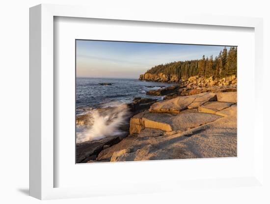 Otter Cliffs at sunrise in Acadia National Park, Maine, USA-Chuck Haney-Framed Photographic Print