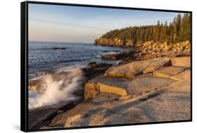 Otter Cliffs at sunrise in Acadia National Park, Maine, USA-Chuck Haney-Framed Stretched Canvas