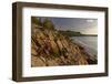 Otter Cliffs at sunrise in Acadia National Park, Maine, USA-Chuck Haney-Framed Photographic Print