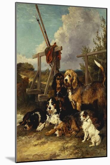 Otter Hounds by a Bridge-Tired Out-John Emms-Mounted Giclee Print