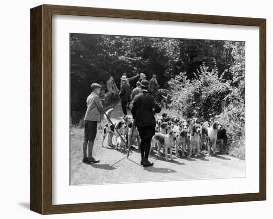 Otter Hounds-null-Framed Photographic Print