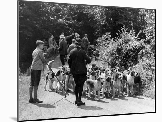 Otter Hounds-null-Mounted Photographic Print