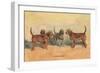 Otter Hounds-Thomas Ivester Llyod-Framed Art Print