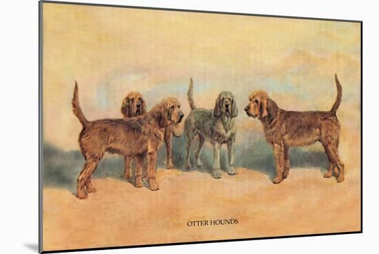 Otter Hounds-Thomas Ivester Llyod-Mounted Art Print