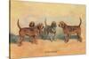 Otter Hounds-Thomas Ivester Llyod-Stretched Canvas