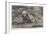 Otter-Hounds-Basil Bradley-Framed Giclee Print