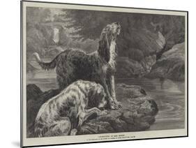 Otter-Hounds-Basil Bradley-Mounted Giclee Print