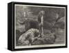 Otter-Hounds-Basil Bradley-Framed Stretched Canvas