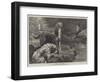 Otter-Hounds-Basil Bradley-Framed Giclee Print