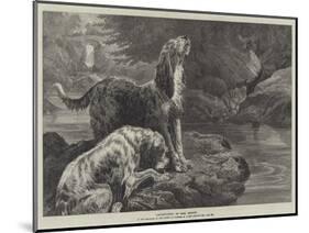 Otter-Hounds-Basil Bradley-Mounted Giclee Print