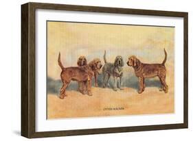 Otter Hounds-Thomas Ivester Llyod-Framed Art Print