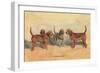 Otter Hounds-Thomas Ivester Llyod-Framed Art Print