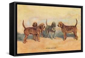 Otter Hounds-Thomas Ivester Llyod-Framed Stretched Canvas