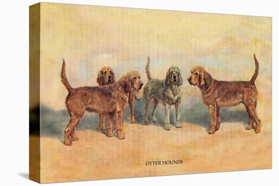 Otter Hounds-Thomas Ivester Llyod-Stretched Canvas