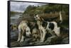 Otter Hunting, or on the Scent , 1881 (Oil on Canvas)-John Sargent Noble-Framed Stretched Canvas