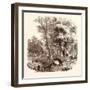 Otter Hunting, Wildlife, River-null-Framed Giclee Print