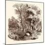 Otter Hunting, Wildlife, River-null-Mounted Giclee Print