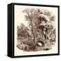 Otter Hunting, Wildlife, River-null-Framed Stretched Canvas