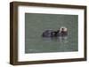 Otter, Kodiak Island, Alaska-Gavriel Jecan-Framed Photographic Print