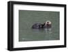 Otter, Kodiak Island, Alaska-Gavriel Jecan-Framed Photographic Print