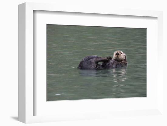 Otter, Kodiak Island, Alaska-Gavriel Jecan-Framed Photographic Print