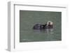 Otter, Kodiak Island, Alaska-Gavriel Jecan-Framed Photographic Print