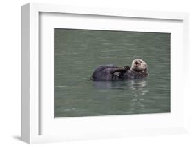 Otter, Kodiak Island, Alaska-Gavriel Jecan-Framed Photographic Print