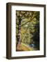 Otter Lake, Blue Ridge Parkway, Smoky Mountains, USA.-Anna Miller-Framed Photographic Print