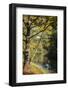 Otter Lake, Blue Ridge Parkway, Smoky Mountains, USA.-Anna Miller-Framed Photographic Print