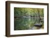 Otter Lake Creek boulders and reflections, Blue Ridge Parkway, Smoky Mountains, USA.-Anna Miller-Framed Photographic Print