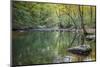 Otter Lake Creek boulders and reflections, Blue Ridge Parkway, Smoky Mountains, USA.-Anna Miller-Mounted Photographic Print