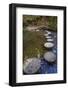 Otter Lake Creek stepping stones, Blue Ridge Parkway, Smoky Mountains, USA.-Anna Miller-Framed Photographic Print