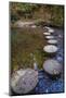 Otter Lake Creek stepping stones, Blue Ridge Parkway, Smoky Mountains, USA.-Anna Miller-Mounted Photographic Print