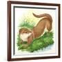 Otter Lutra-null-Framed Giclee Print