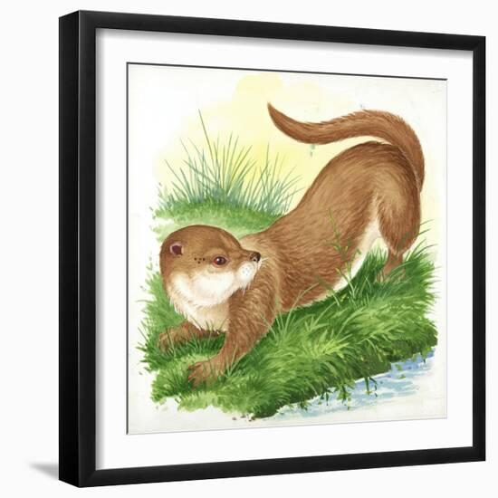 Otter Lutra-null-Framed Giclee Print