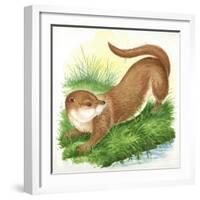 Otter Lutra-null-Framed Giclee Print