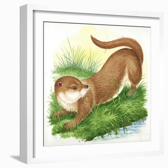 Otter Lutra-null-Framed Giclee Print