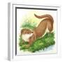 Otter Lutra-null-Framed Giclee Print