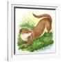 Otter Lutra-null-Framed Giclee Print