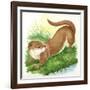 Otter Lutra-null-Framed Giclee Print