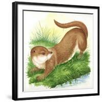 Otter Lutra-null-Framed Giclee Print