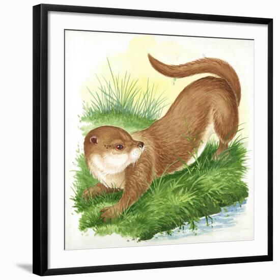 Otter Lutra-null-Framed Giclee Print