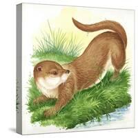 Otter Lutra-null-Stretched Canvas