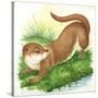 Otter Lutra-null-Stretched Canvas