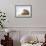 Otter (Lutrinae), West Coast of Scotland, United Kingdom, Europe-David Gibbon-Framed Photographic Print displayed on a wall
