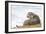 Otter (Lutrinae), West Coast of Scotland, United Kingdom, Europe-David Gibbon-Framed Photographic Print