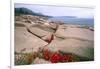 Otter Point, Acadia National Park, Maine-George Oze-Framed Photographic Print