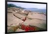 Otter Point, Acadia National Park, Maine-George Oze-Framed Photographic Print