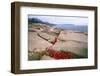 Otter Point, Acadia National Park, Maine-George Oze-Framed Photographic Print